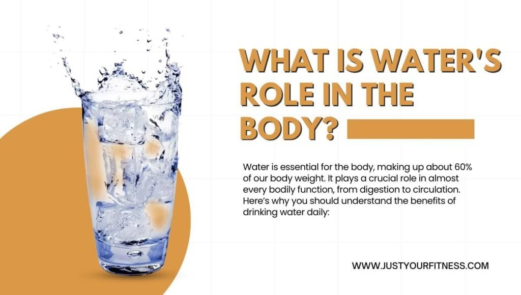 What is Water's Role in the Body?