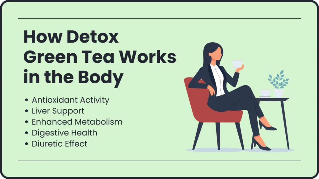 How Detox Green Tea Works in the Body